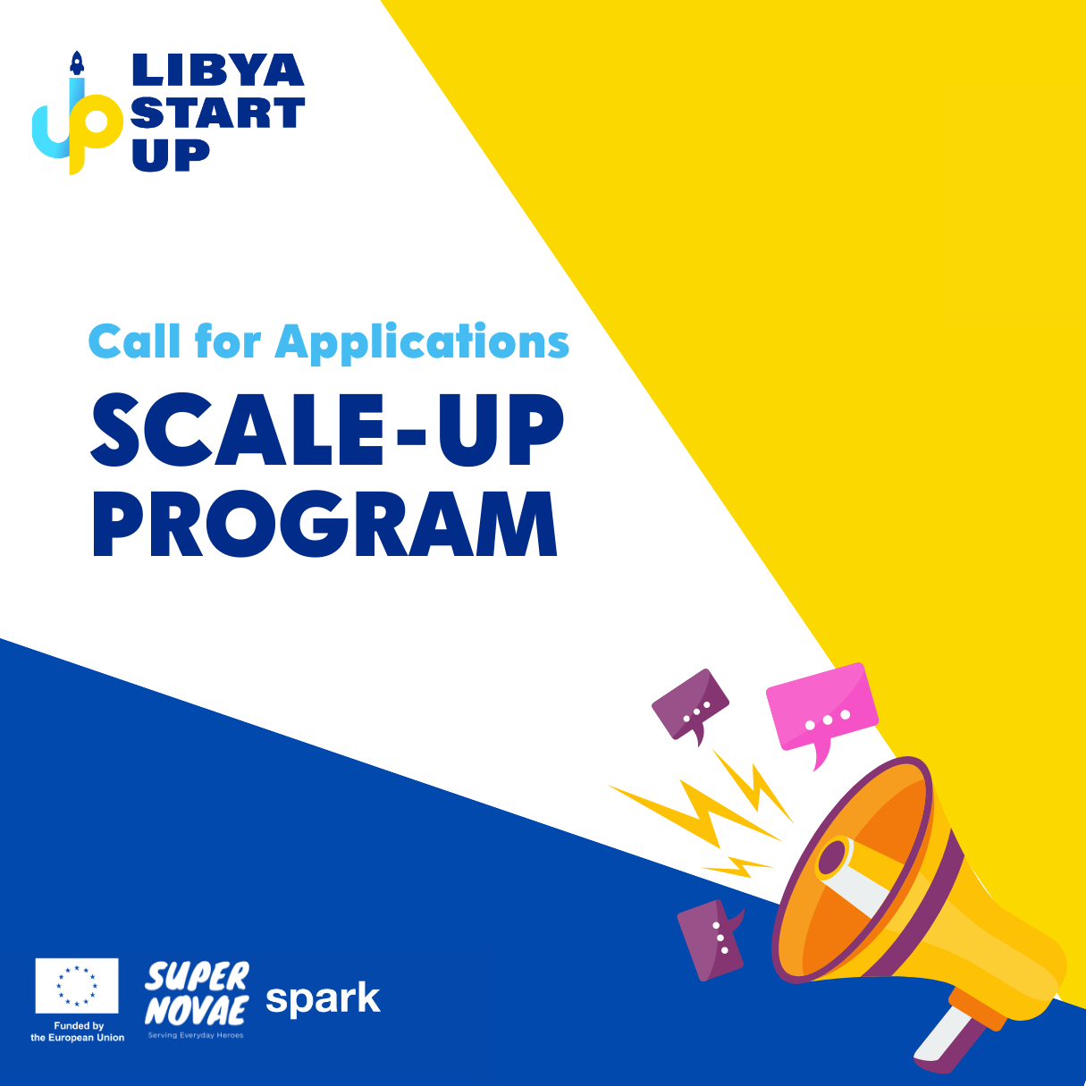 Scaleup Program